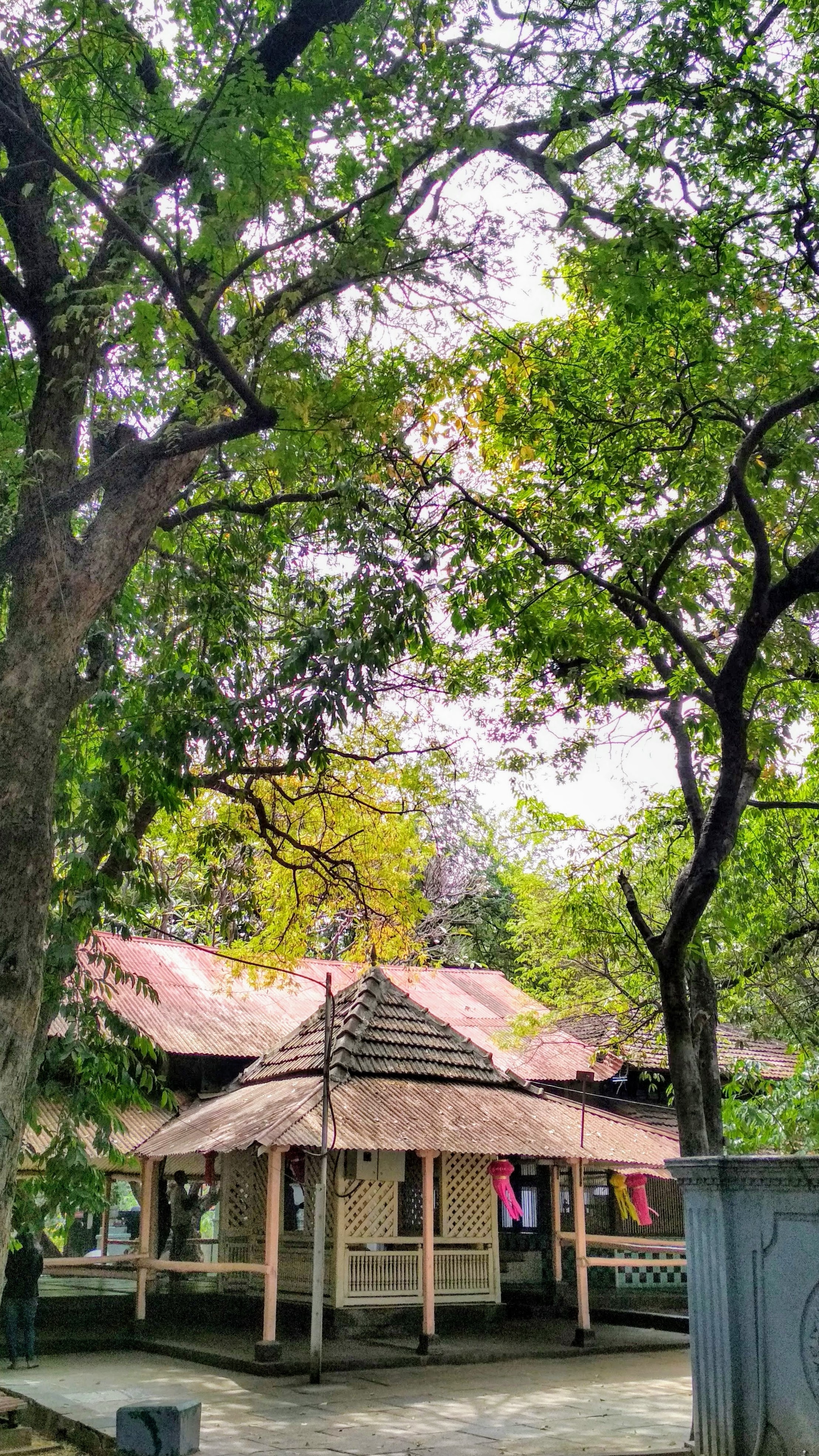 Old House